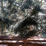 度假村 Saltzbork Staraya Sol