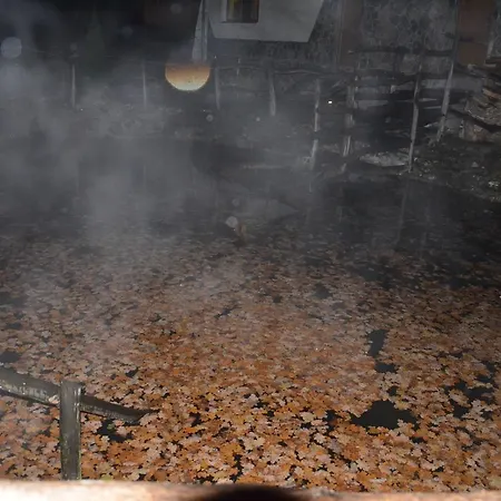 Saltzbork Staraya Sol