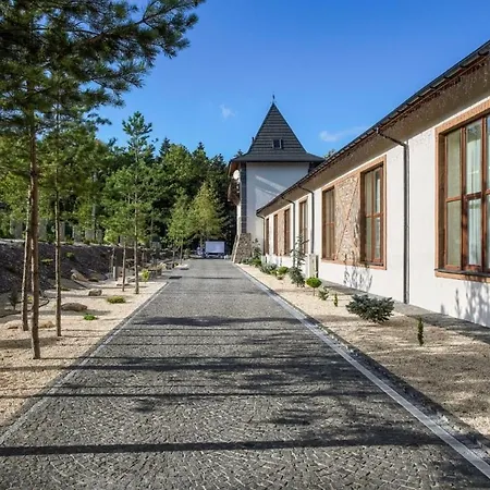 Saltzbork Resort Staraya Sol