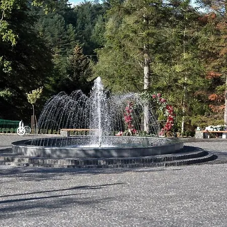 Saltzbork *