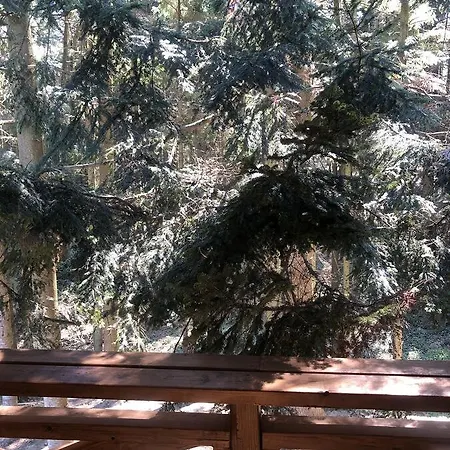 Resort Saltzbork Staraya Sol